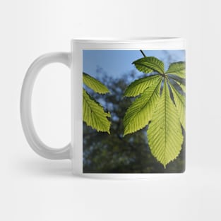 Backlit Horse Chesnut Leaf Mug